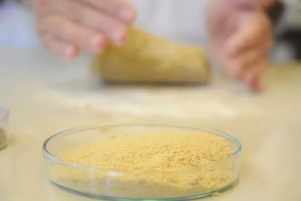 galletas saludables