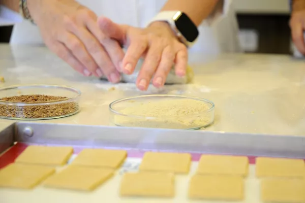 galletas saludables