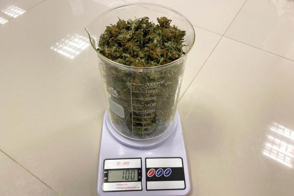 La UTN y entidades adherentes crearon el primer consorcio de investigación y desarrollo en Cannabis