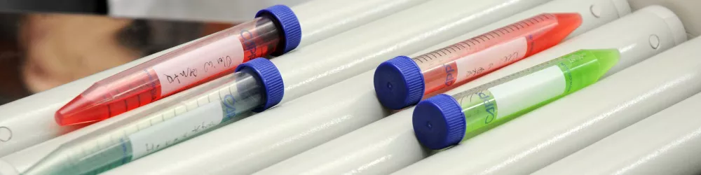 Desarrollan etiquetas que indican si un producto perdió la cadena de frío