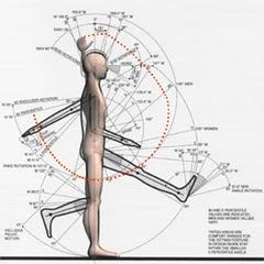 ERGONOMIA