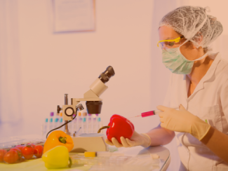 imagen representativa de Maestría en Alimentos