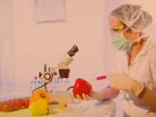 imagen representativa de Maestría en Alimentos